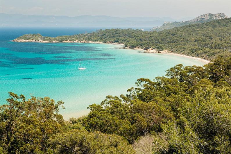 Souvenirs D'Hier Lejlighed Hyères Eksteriør billede